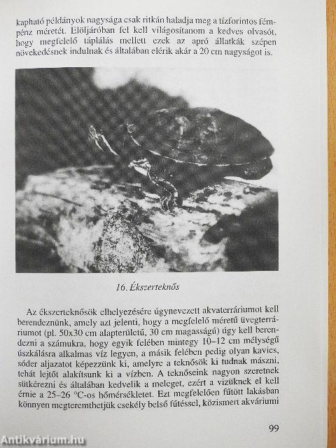 Madarak és madarászok