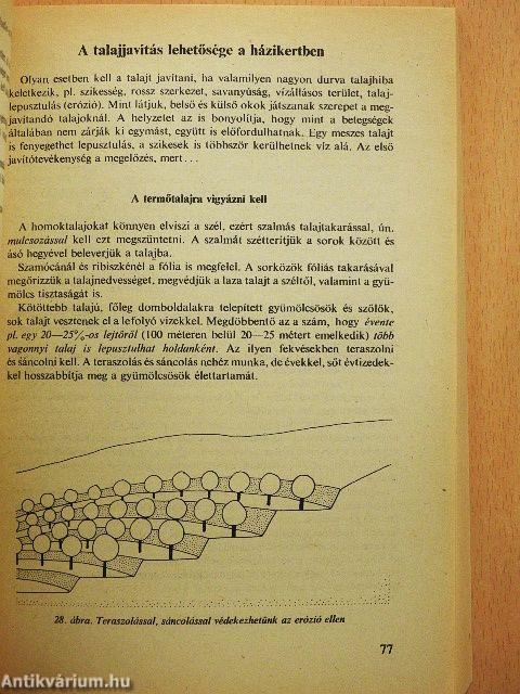 Gyümölcstermesztés házi- és háztáji kertekben
