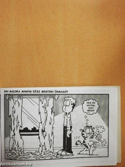 Garfield - Az igazat és csakis az igazat a macskákról