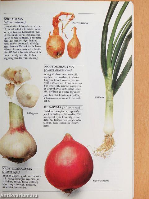 A főzés alapanyagai