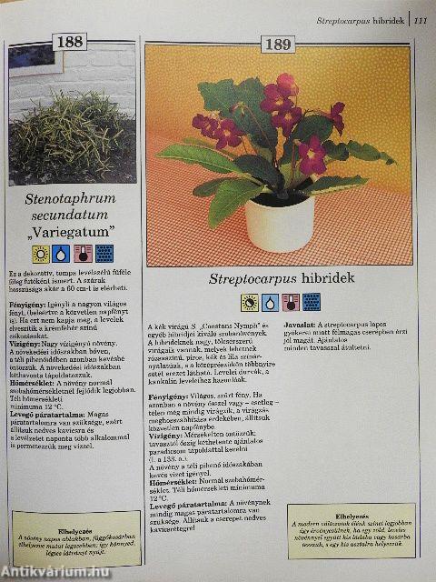 200 kedvelt szobanövény termesztése és ápolása