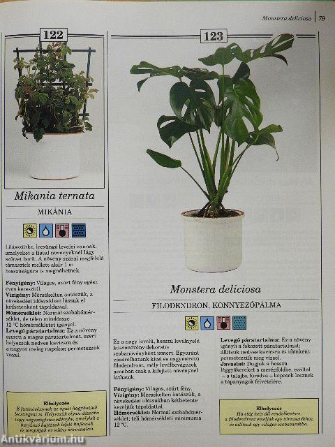 200 kedvelt szobanövény termesztése és ápolása