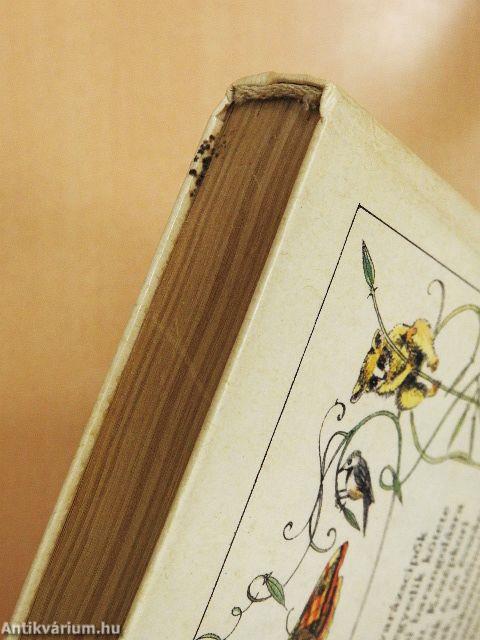 Tavirózsa kisasszony