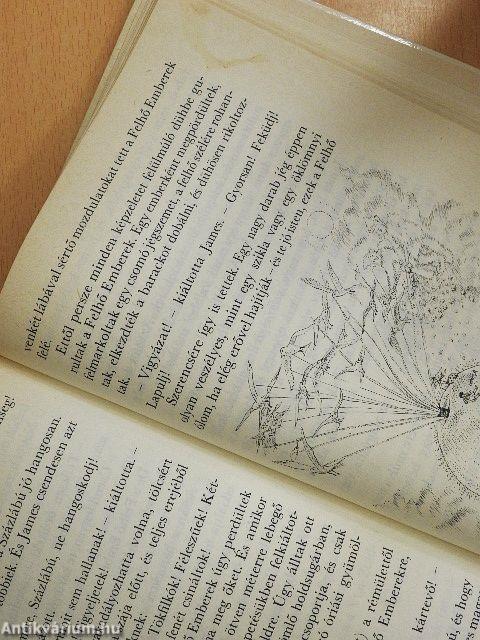 Tavirózsa kisasszony