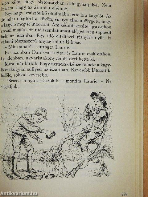 Tavirózsa kisasszony