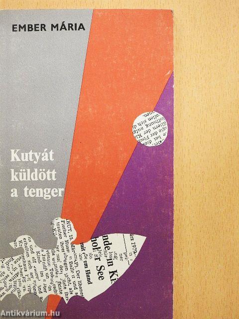 Kutyát küldött a tenger