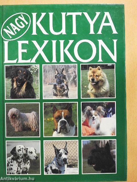 Nagy kutya lexikon