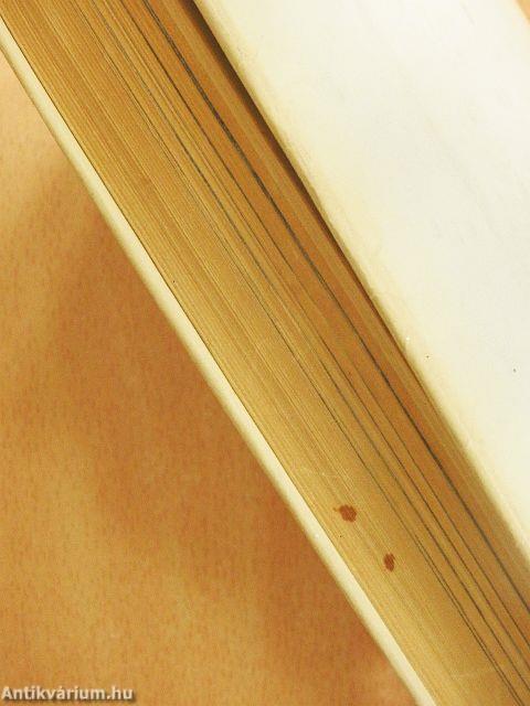 A látvány logikája