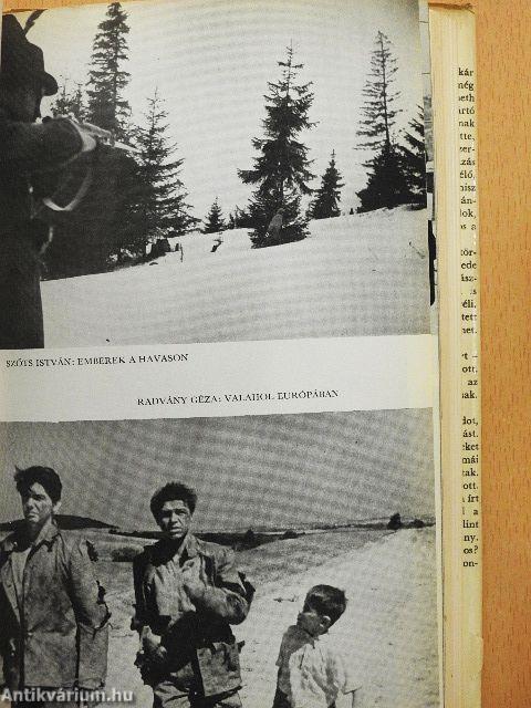 A látvány logikája