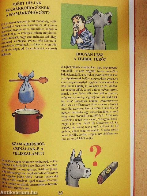 Kérdezz! Felelek mindenre