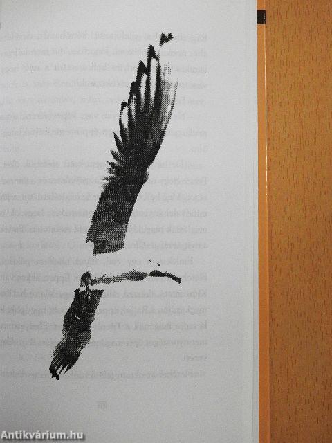 Jonathan, a sirály/Jonathan Livingstone Seagull