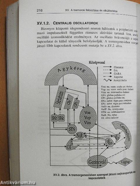 Parkinson-kór és egyéb mozgászavarok