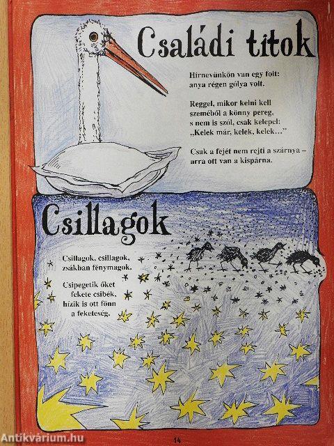 Eszterlánc/Kati-patika