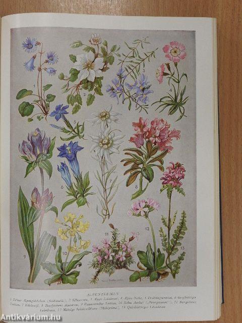 Die Welt von A bis Z