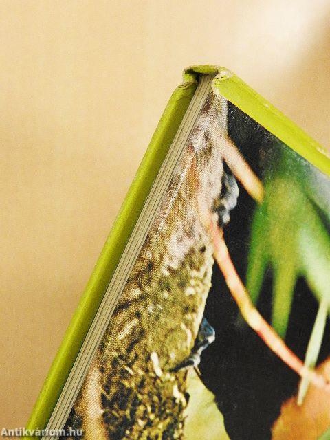 The Land and Wild-life of South America