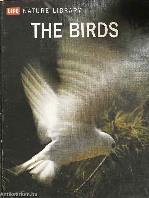 The Birds