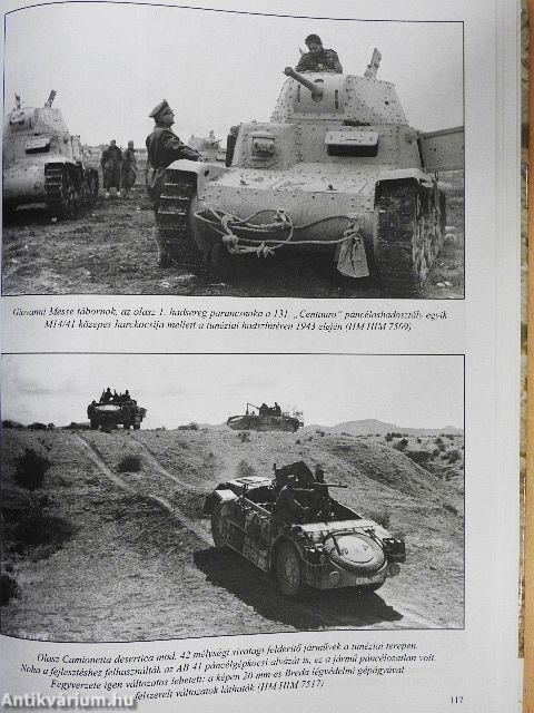 Páncélosok a sivatagban