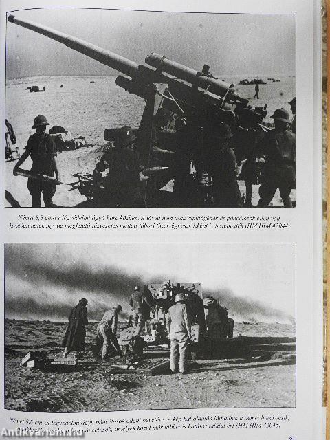 Páncélosok a sivatagban