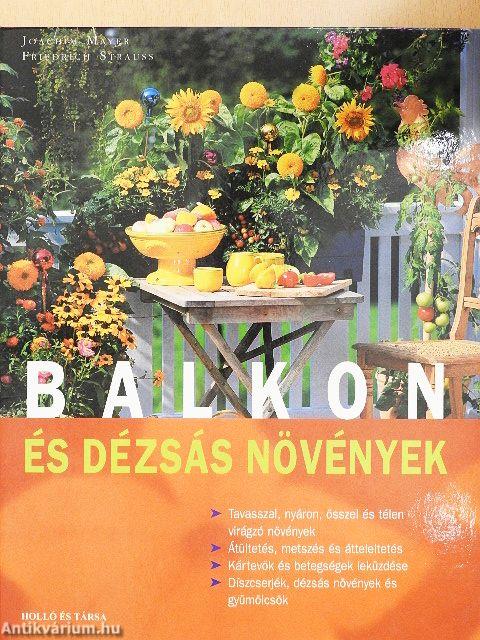 Balkon- és dézsás növények