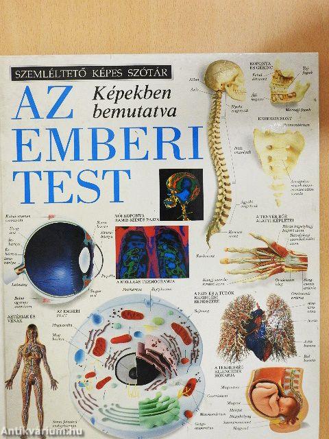 Az emberi test