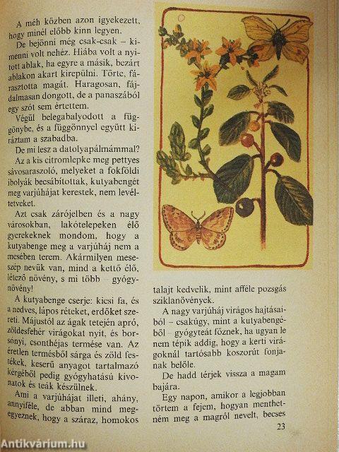 Mézesmázos haramiák