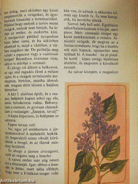 Mézesmázos haramiák