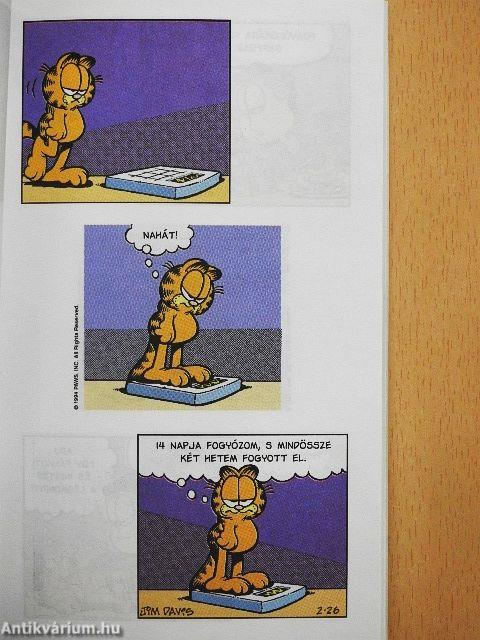 Útmutató a finomságok kamrájának fosztogatóihoz