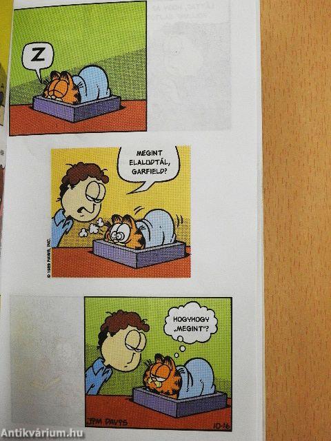 Végre dirigálhatok!