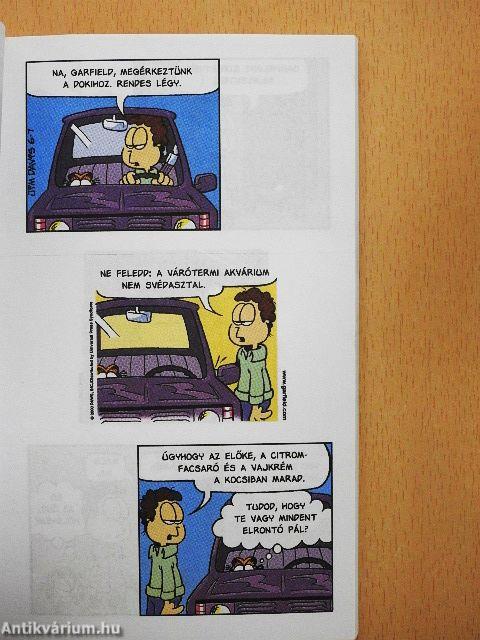 Kutya bajom!