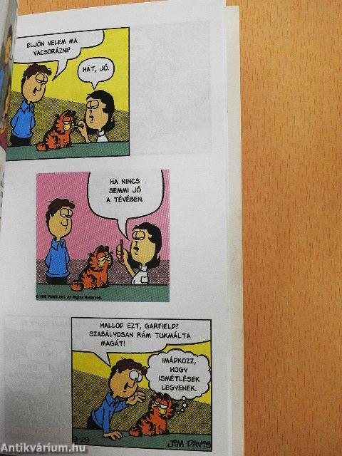 Kutya bajom!