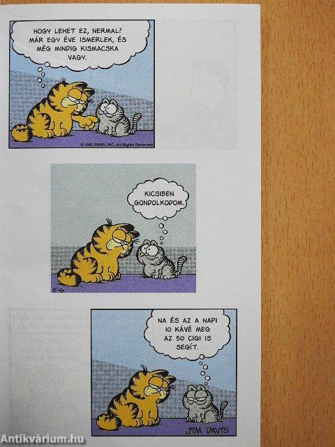 Útmutató a koffeinizmushoz