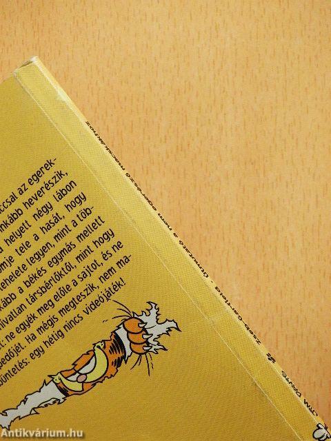 Útmutató a nem egerésző macskákhoz