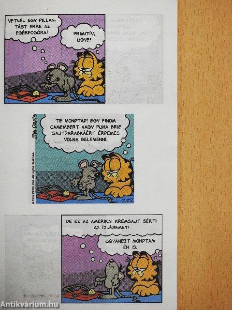 Útmutató a nem egerésző macskákhoz