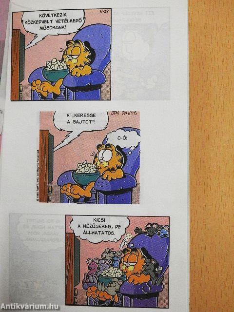 Útmutató a nem egerésző macskákhoz