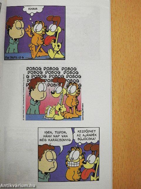 Én kis égi medvém