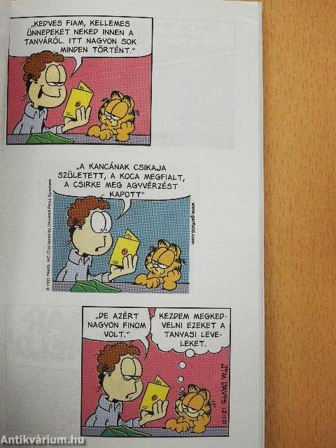 Én kis égi medvém