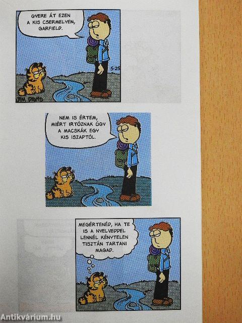 Házon kívül vagyok!