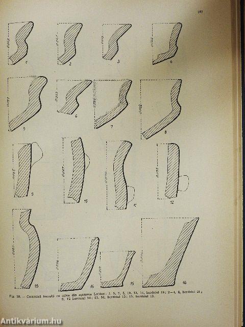 Arheologia Moldovei VIII