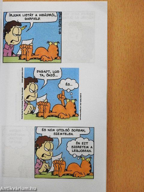 Beszélek stréberül