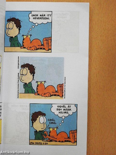 Beszélek stréberül