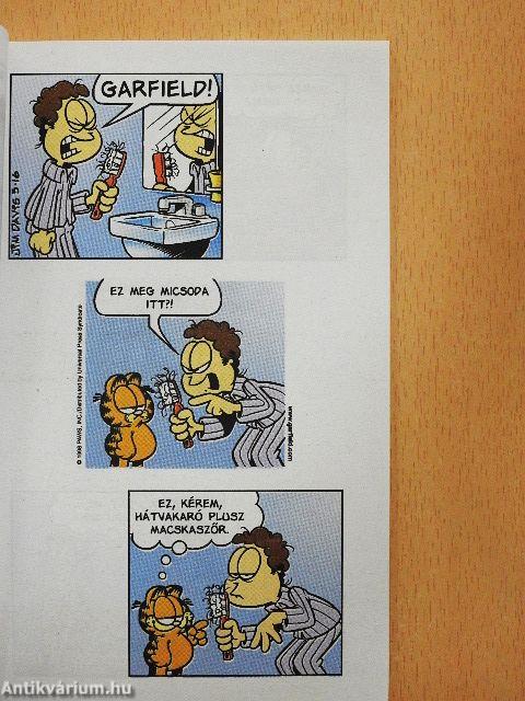 Őrző-védő macska