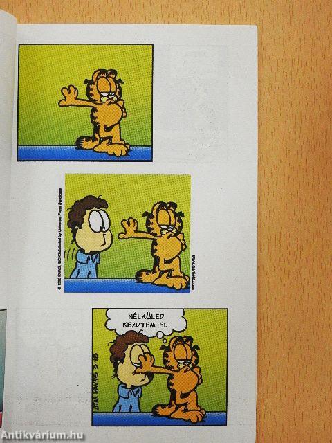 Őrző-védő macska