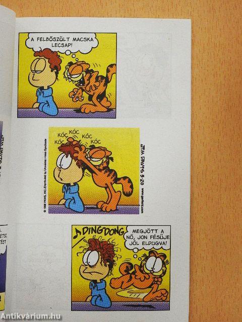 Őrző-védő macska