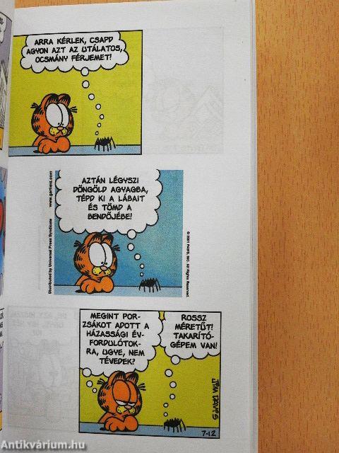 Fátylat a múltra