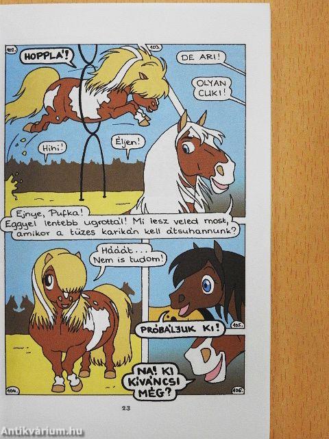 Csinálják a fesztivált!