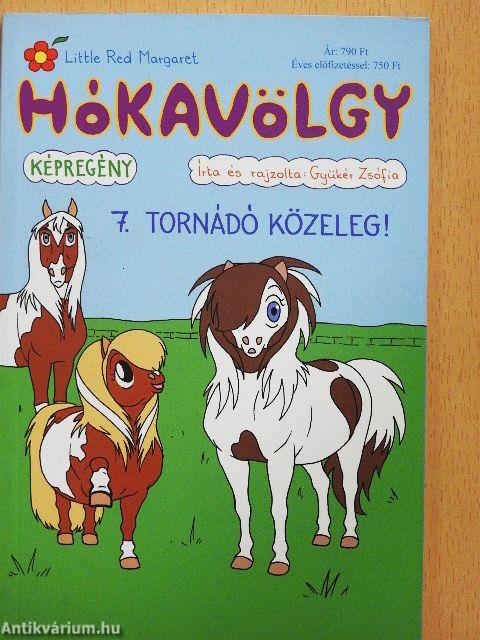 Hókavölgy 7. - Tornádó közeleg!