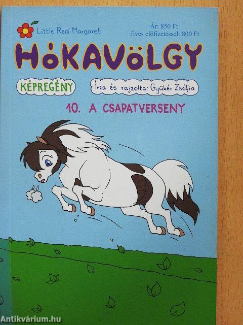Hókavölgy 10. - A csapatverseny