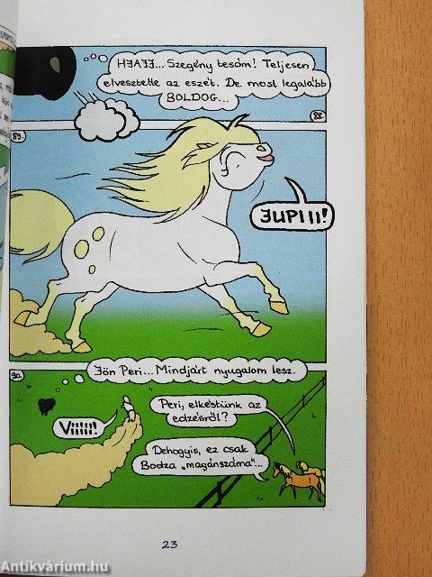 Hókavölgy 10. - A csapatverseny