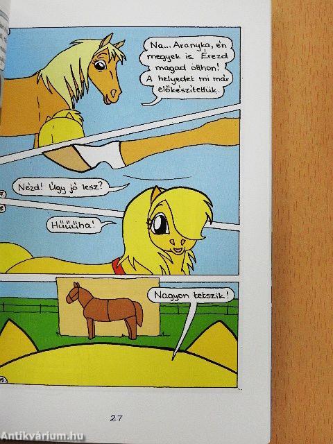 Hókavölgy 10. - A csapatverseny