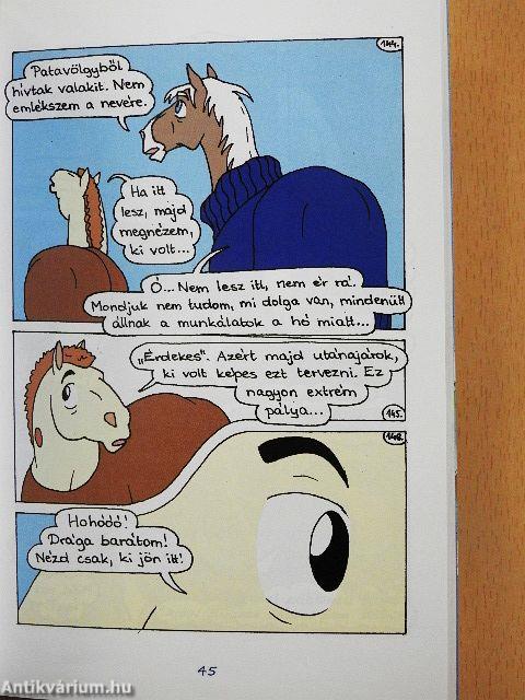 Hókavölgy 9. - Még nincs itt a hó vége